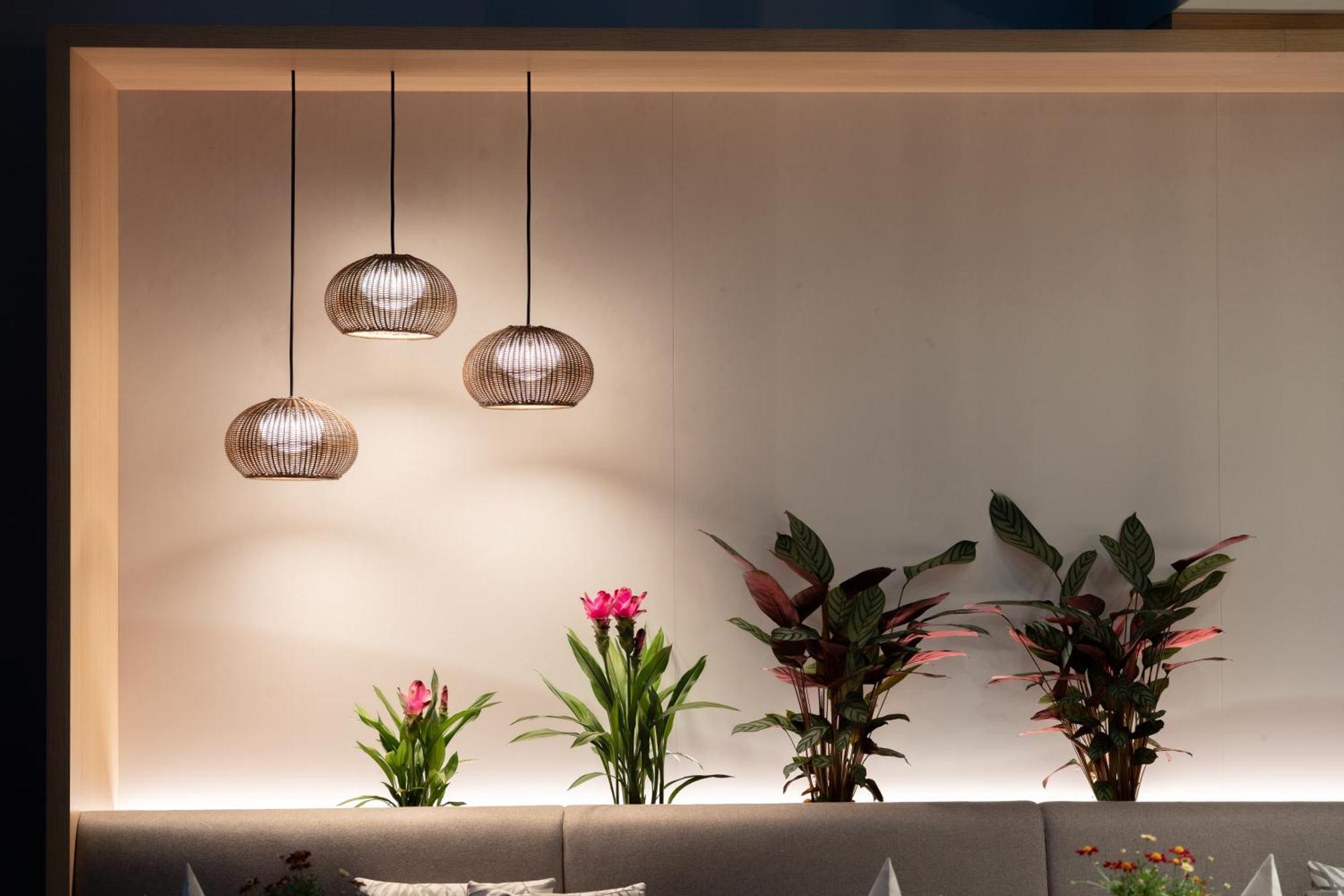 Designhotel Am Stadtgarten Φράιμπουργκ Εξωτερικό φωτογραφία
